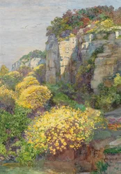 Ginsterbloei op Brioni